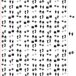 слайд задания